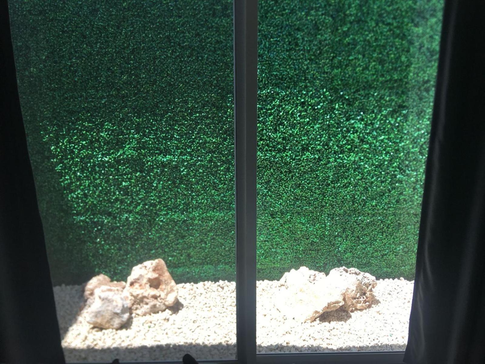 Green Lofts Cancun Luaran gambar